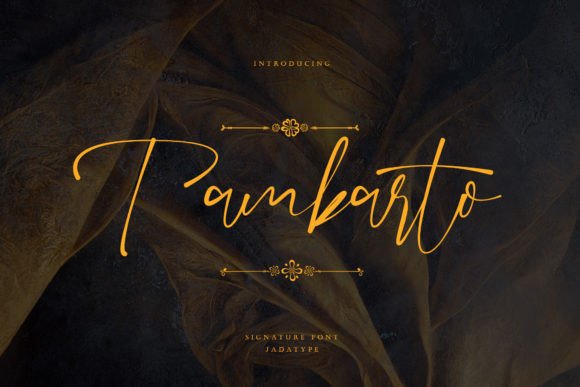Tambarto: A Signature Script Font for Digital Branding
