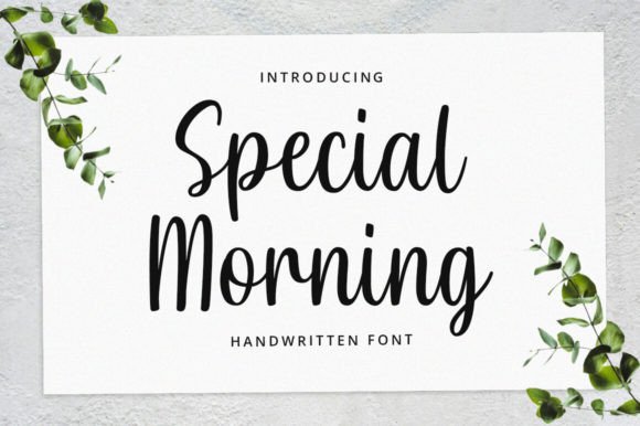 Using Special Morning: A Web Designer's Real‑World Typography Test